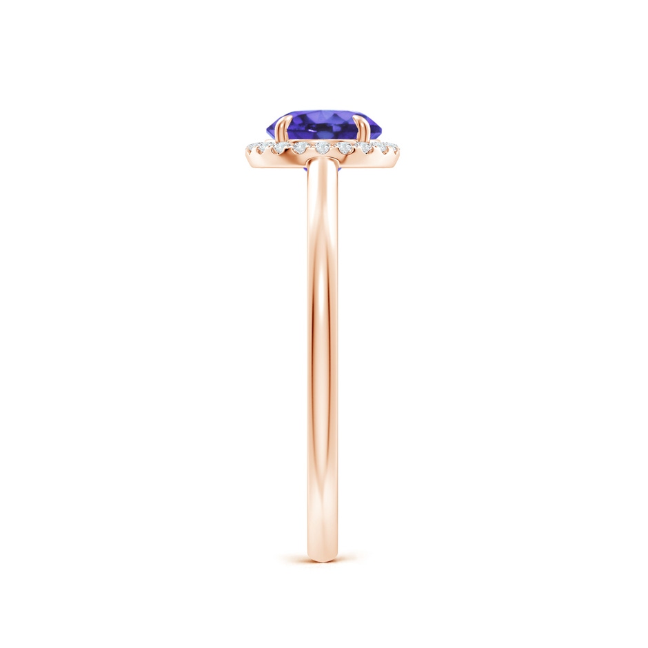 6mm AA Round Tanzanite Cathedral Ring with Diamond Halo in Rose Gold side-2