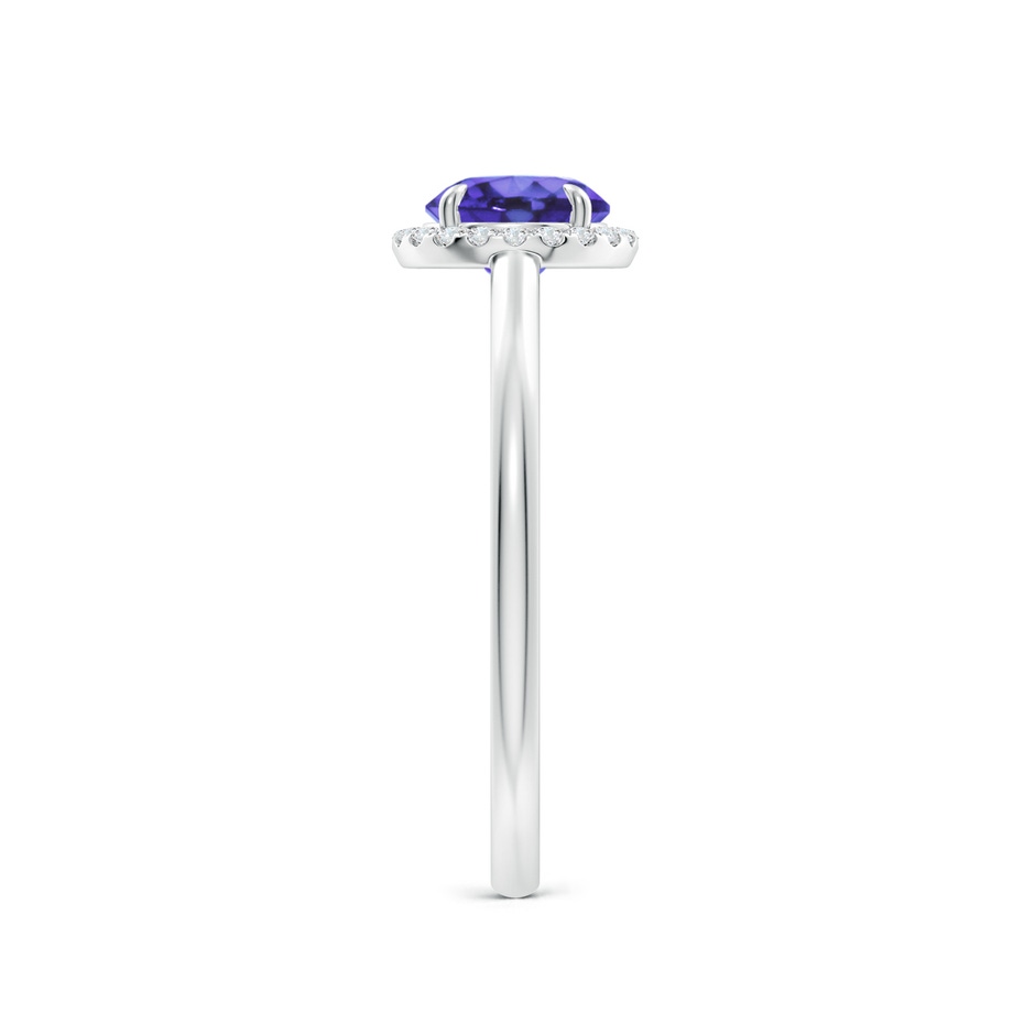 6mm AA Round Tanzanite Cathedral Ring with Diamond Halo in White Gold side-2