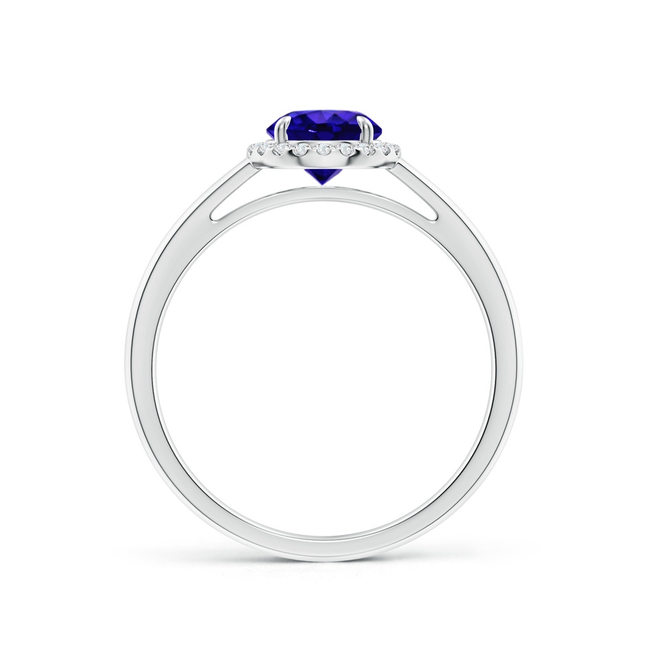 6mm AAAA Round Tanzanite Cathedral Ring with Diamond Halo in P950 Platinum side-1