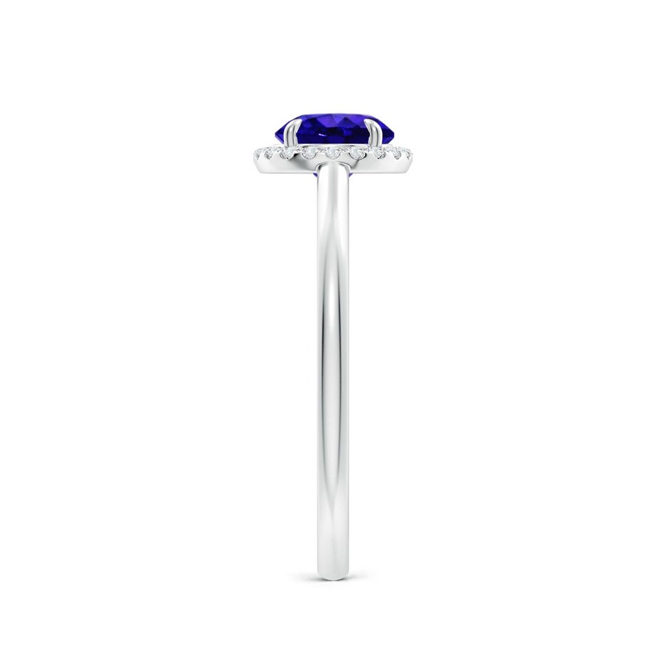 6mm AAAA Round Tanzanite Cathedral Ring with Diamond Halo in P950 Platinum side-2