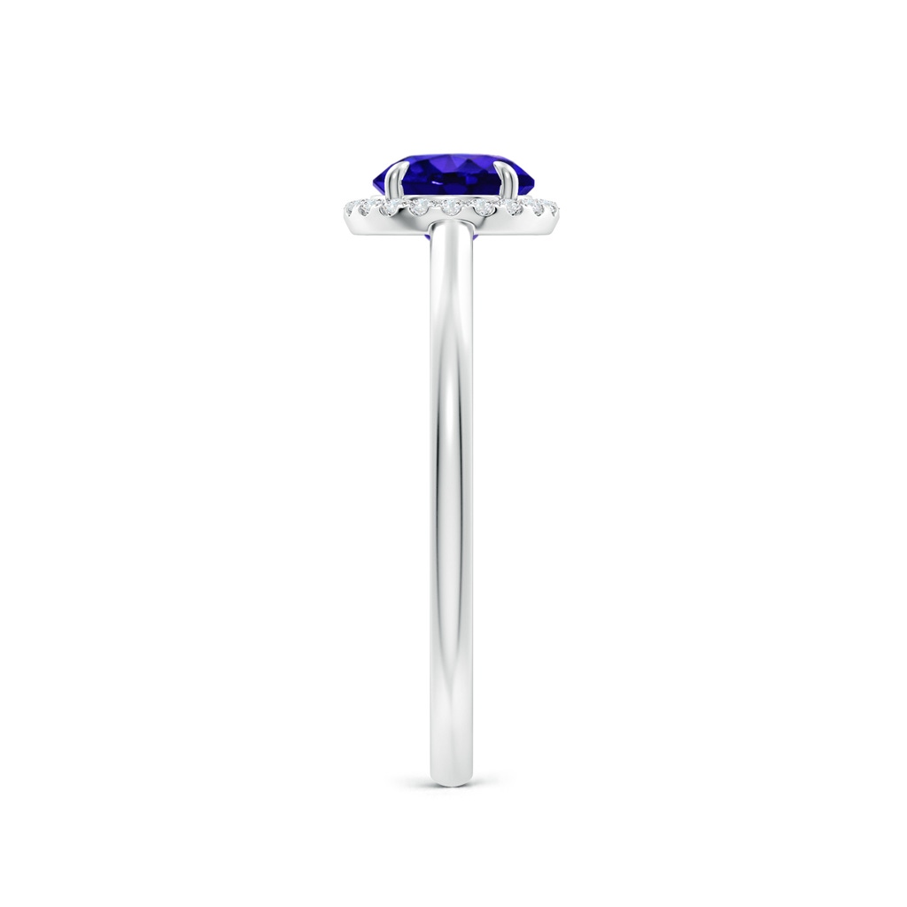 6mm AAAA Round Tanzanite Cathedral Ring with Diamond Halo in White Gold Side-2