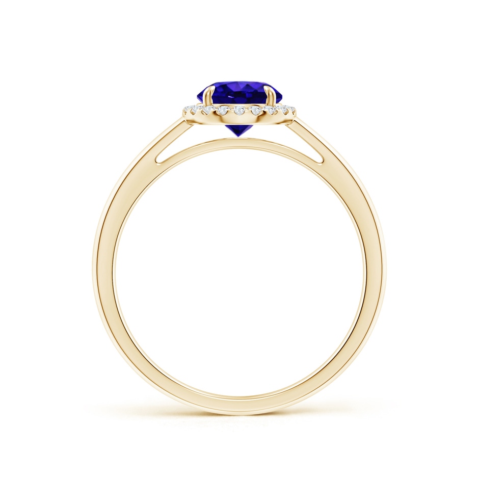 6mm AAAA Round Tanzanite Cathedral Ring with Diamond Halo in Yellow Gold side-1