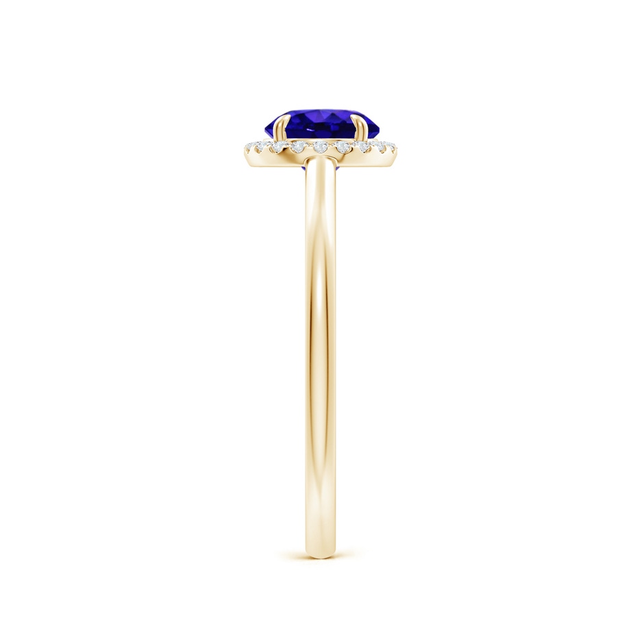 6mm AAAA Round Tanzanite Cathedral Ring with Diamond Halo in Yellow Gold side-2