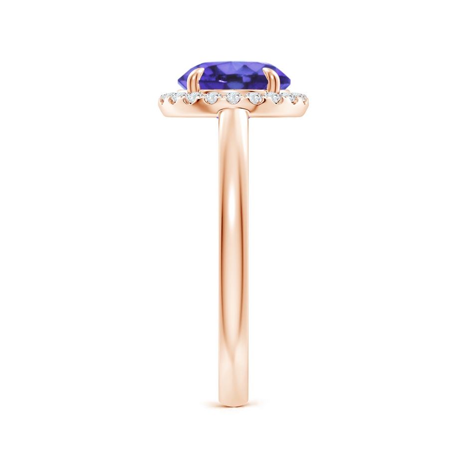 8mm AA Round Tanzanite Cathedral Ring with Diamond Halo in Rose Gold side-2