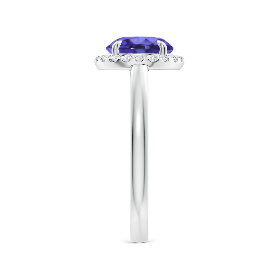 8mm AA Round Tanzanite Cathedral Ring with Diamond Halo in White Gold side-2