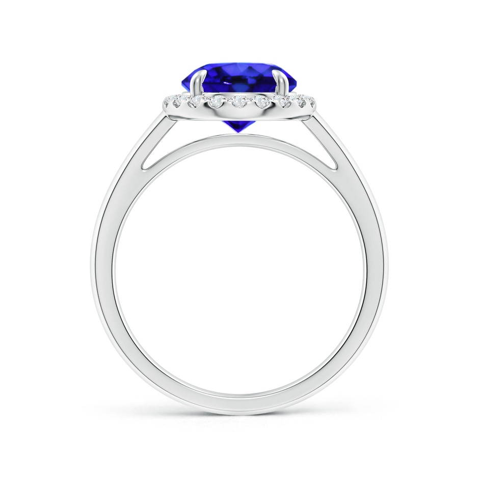 8mm AAA Round Tanzanite Cathedral Ring with Diamond Halo in White Gold side-1