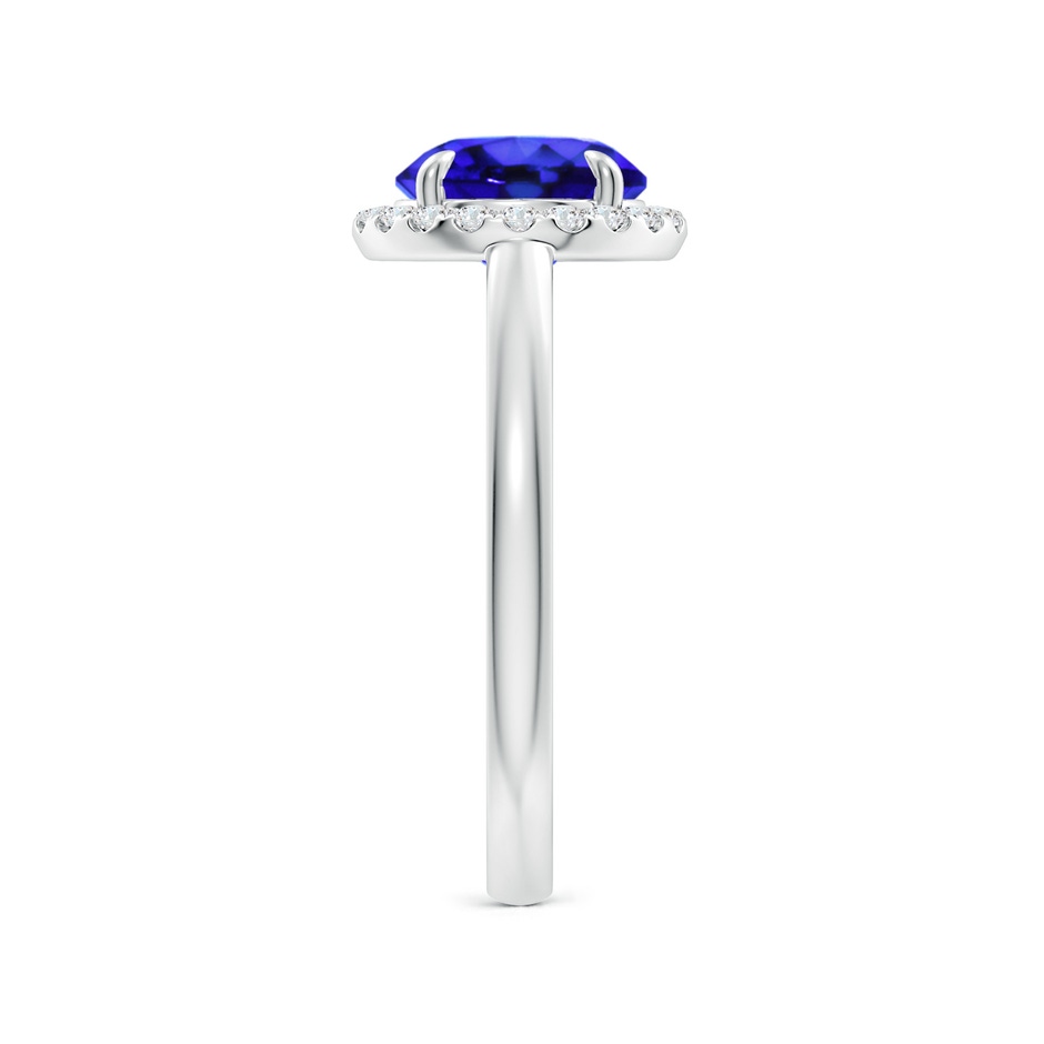 8mm AAA Round Tanzanite Cathedral Ring with Diamond Halo in White Gold side-2