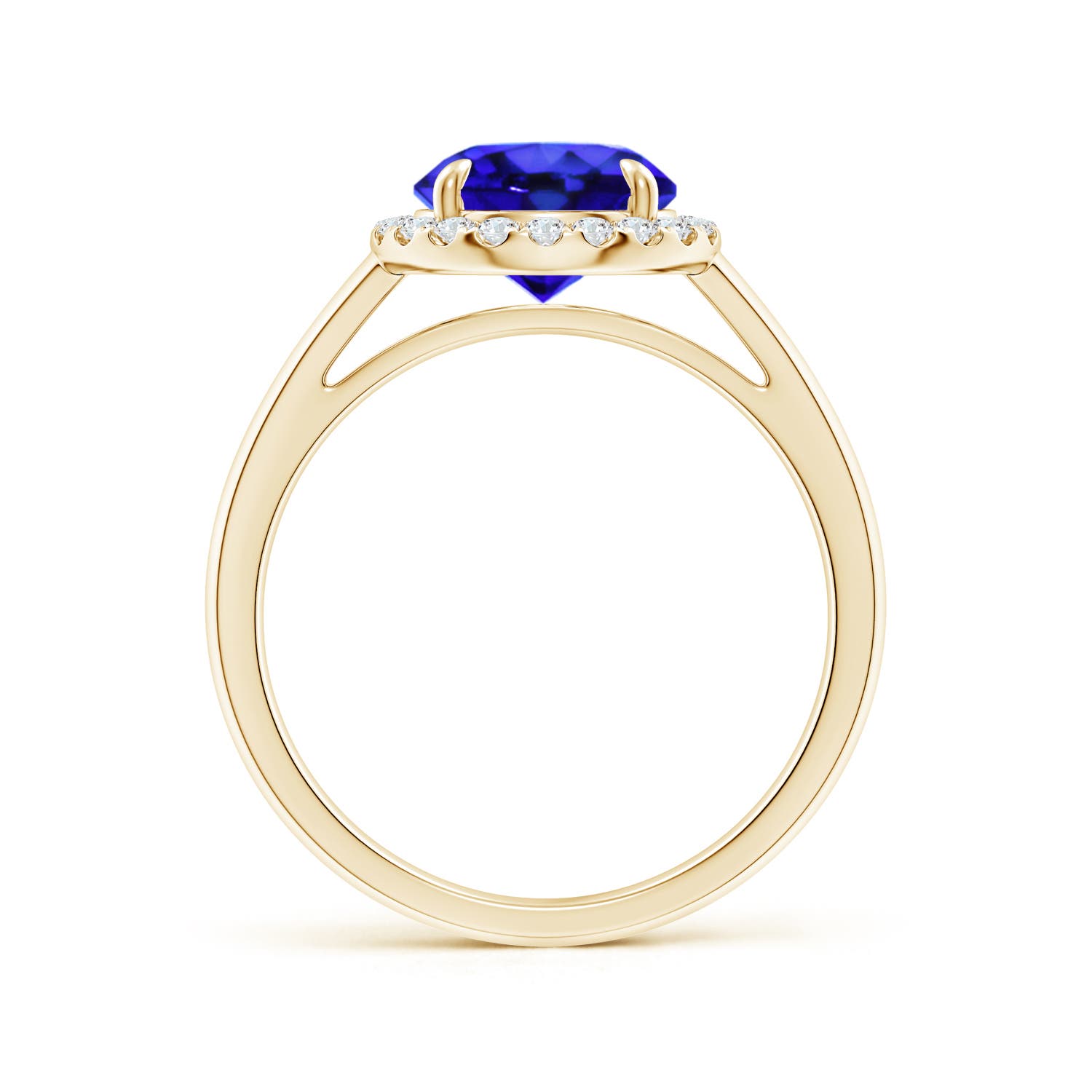 AAA - Tanzanite / 1.96 CT / 14 KT Yellow Gold