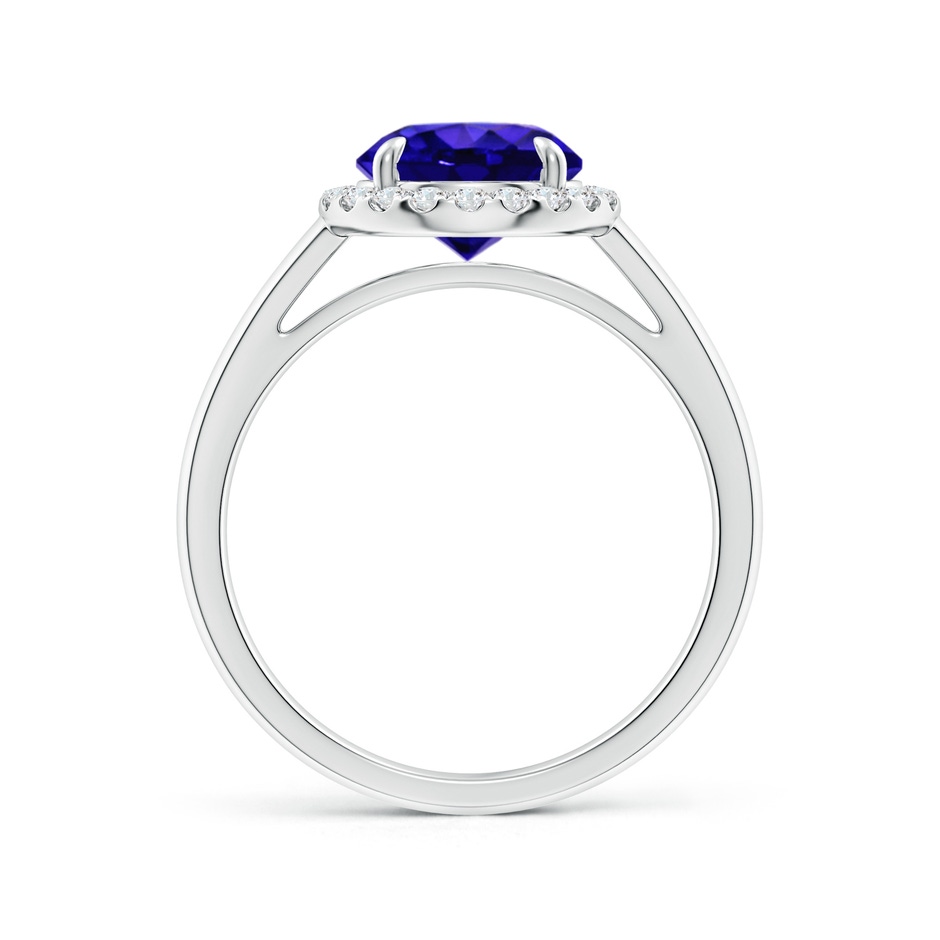 8mm AAAA Round Tanzanite Cathedral Ring with Diamond Halo in P950 Platinum side-1