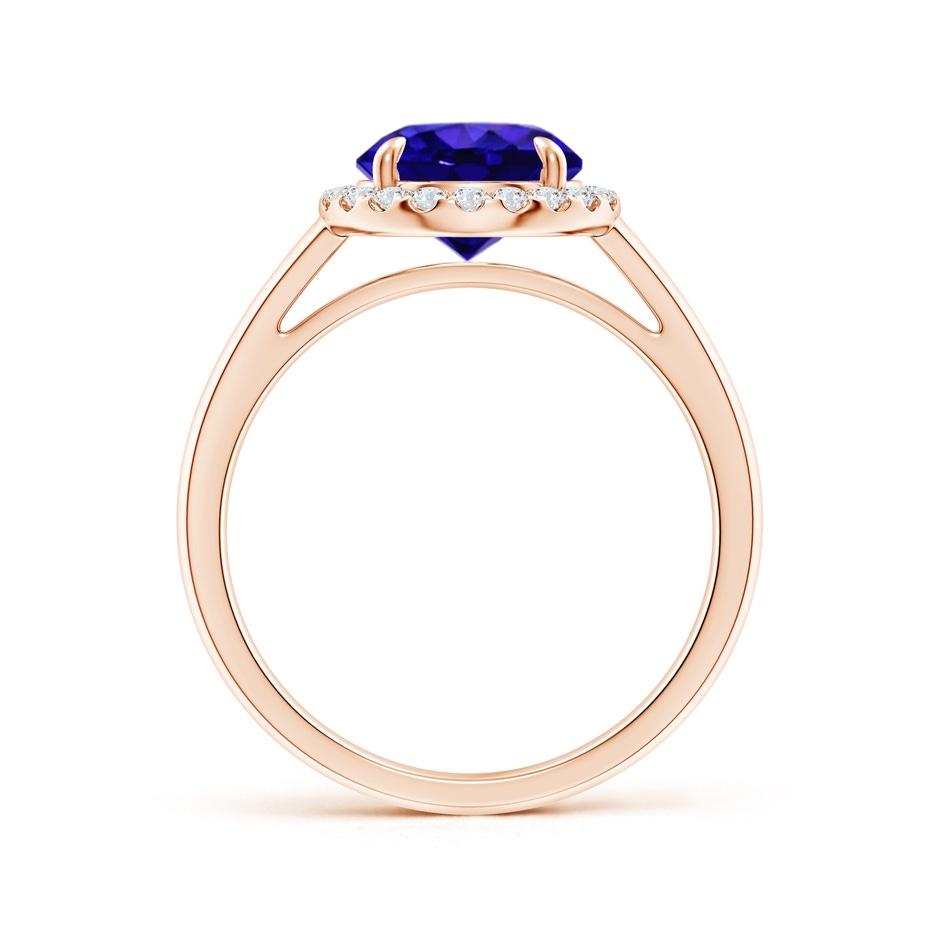 8mm AAAA Round Tanzanite Cathedral Ring with Diamond Halo in Rose Gold side-1