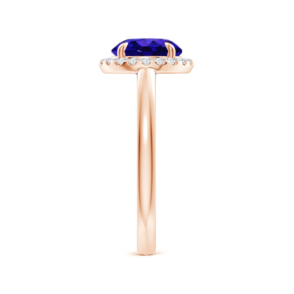 8mm AAAA Round Tanzanite Cathedral Ring with Diamond Halo in Rose Gold side-2