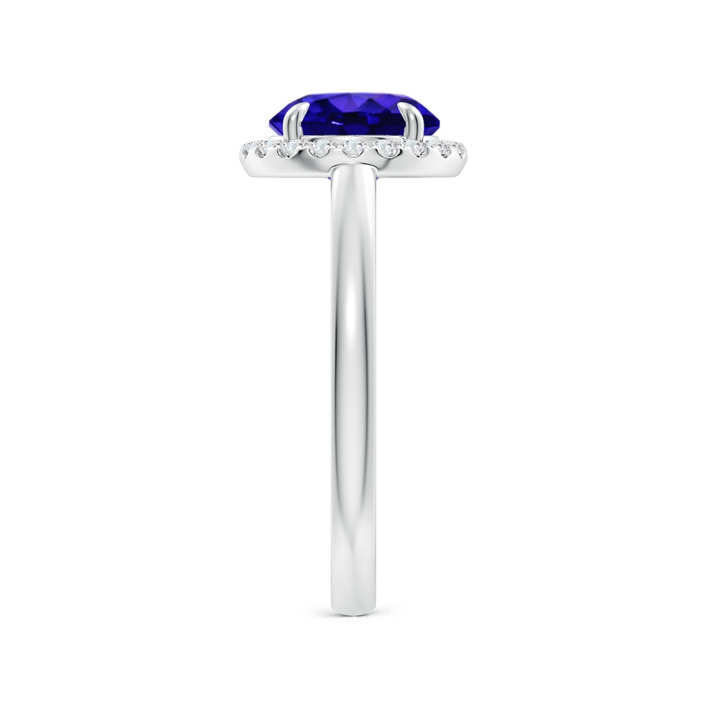 8mm AAAA Round Tanzanite Cathedral Ring with Diamond Halo in White Gold Side-2