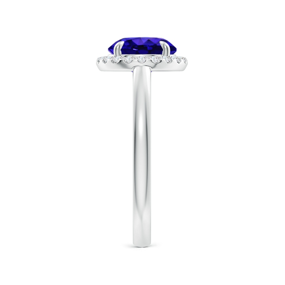 8mm AAAA Round Tanzanite Cathedral Ring with Diamond Halo in White Gold side-2