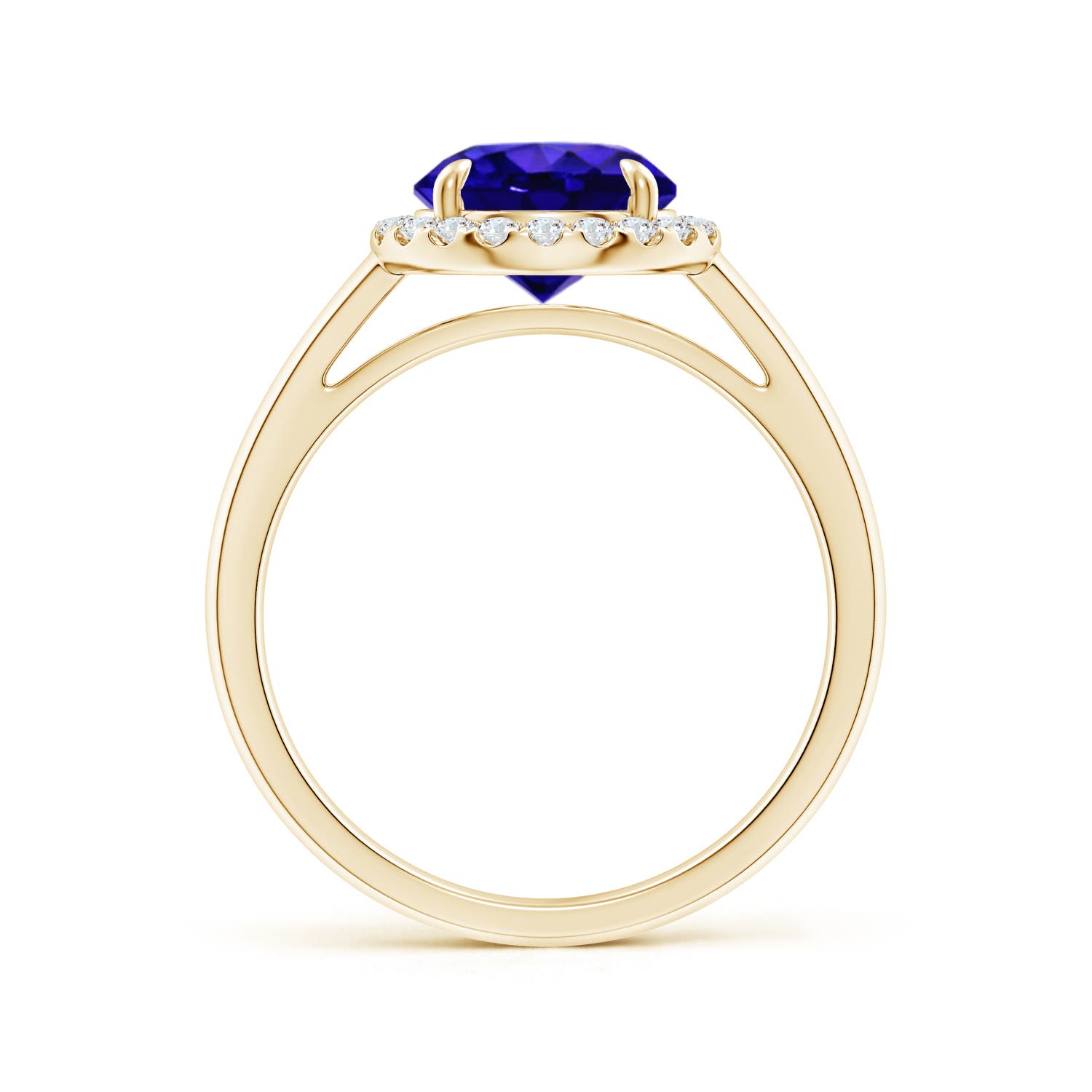 AAAA - Tanzanite / 1.96 CT / 14 KT Yellow Gold