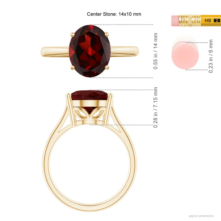 14x10mm AAA Oval Solitaire Garnet Cocktail Ring in Yellow Gold ruler