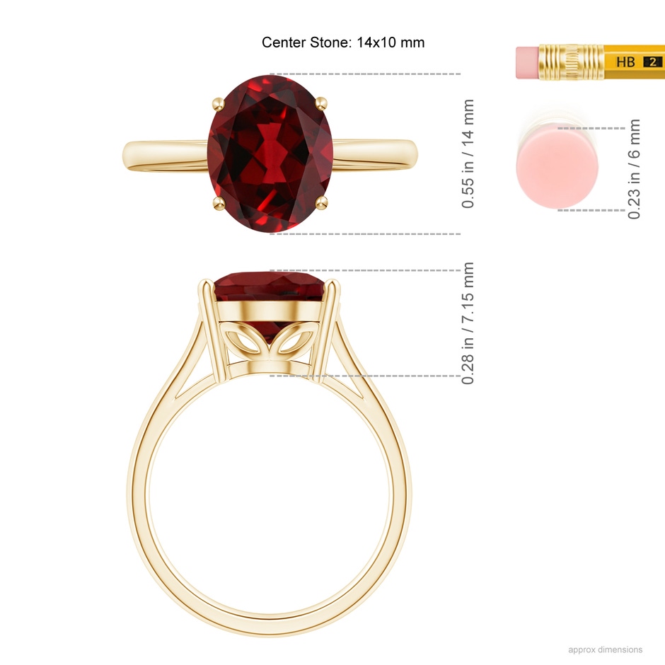 14x10mm AAAA Oval Solitaire Garnet Cocktail Ring in 18K Yellow Gold ruler