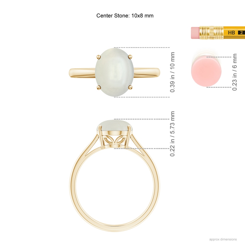 10x8mm AAAA Oval Solitaire Moonstone Cocktail Ring in Yellow Gold ruler