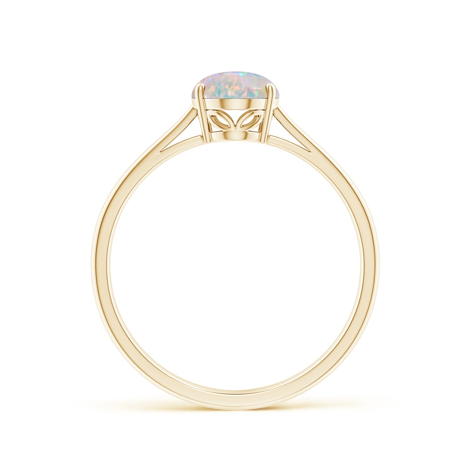 8x6mm AAAA Oval Solitaire Opal Cocktail Ring in Yellow Gold side 199