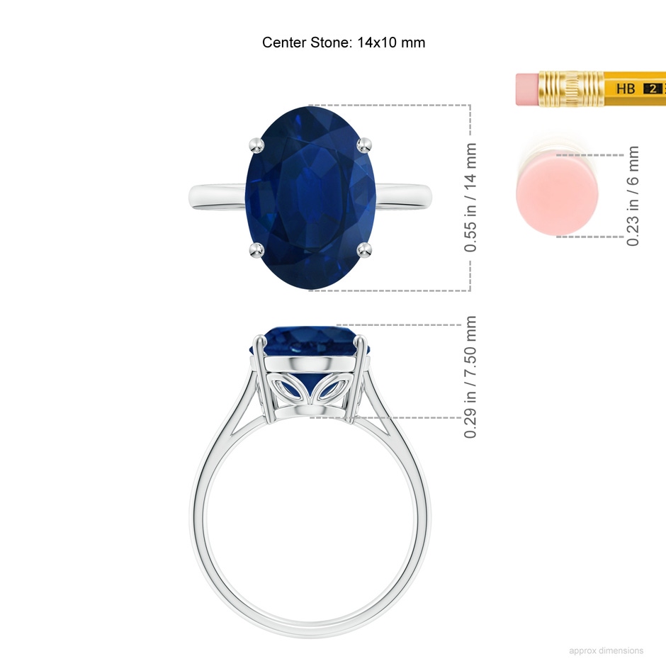 14x10mm AA Oval Solitaire Blue Sapphire Cocktail Ring in P950 Platinum ruler