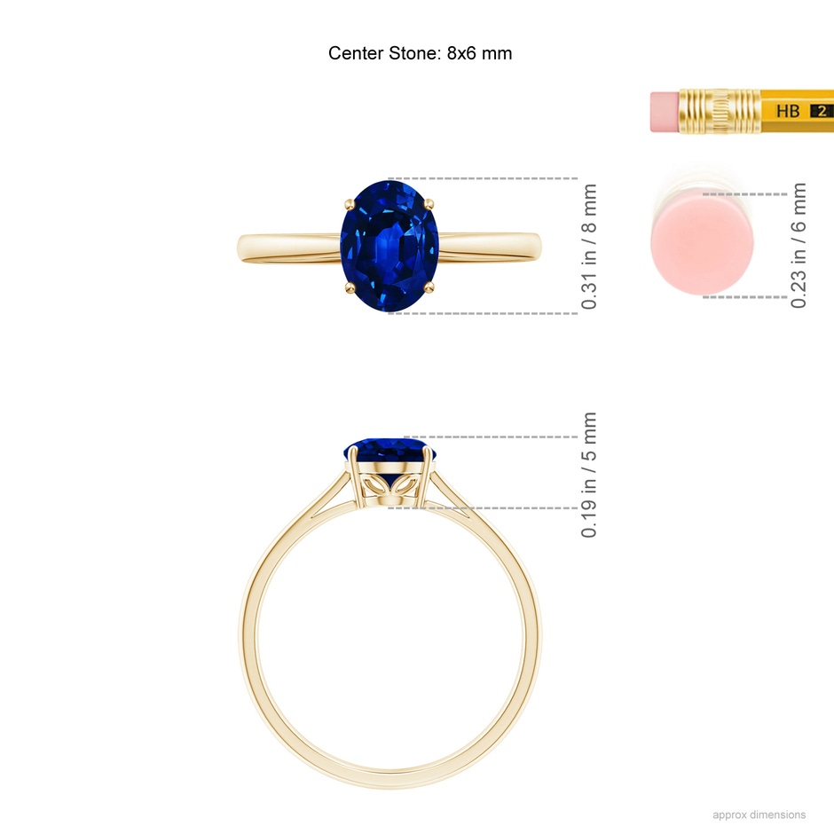 8x6mm AAAA Oval Solitaire Blue Sapphire Cocktail Ring in Yellow Gold ruler