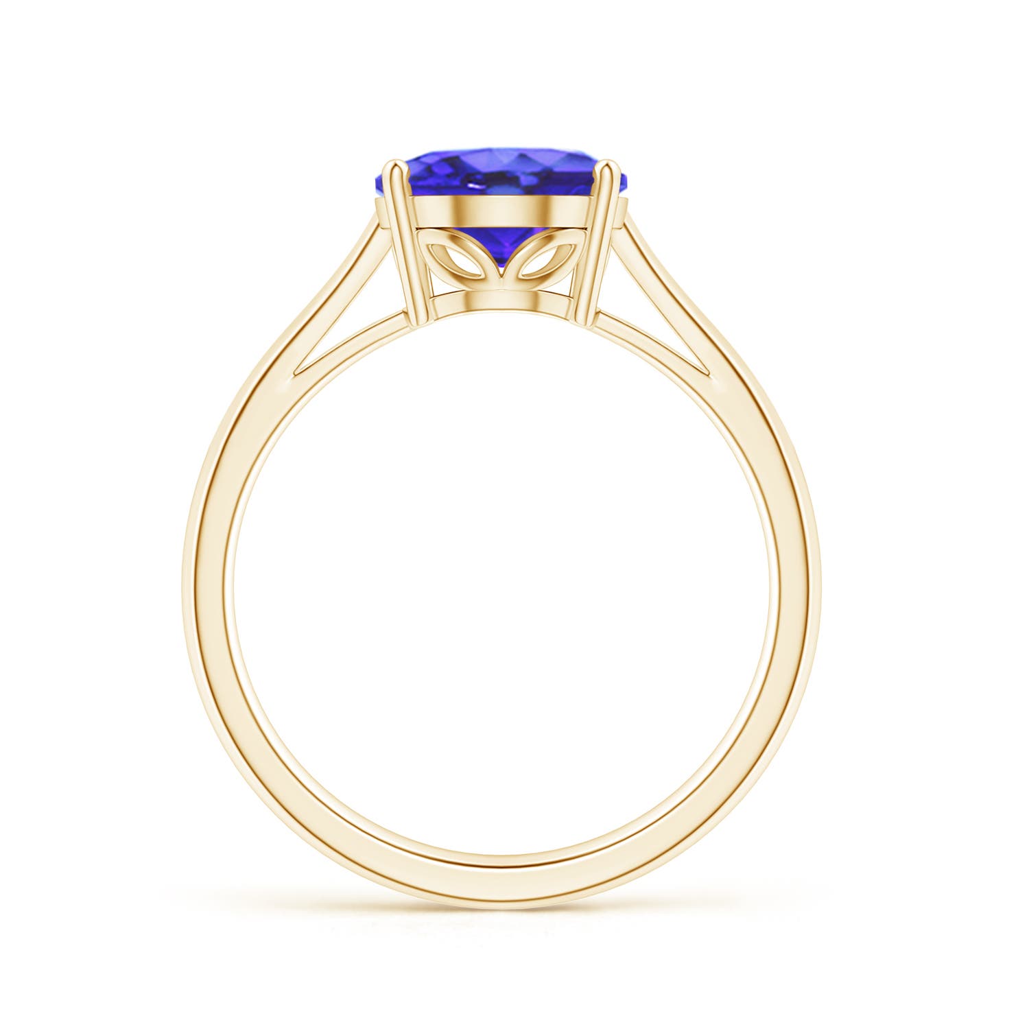 AA - Tanzanite / 2.9 CT / 14 KT Yellow Gold