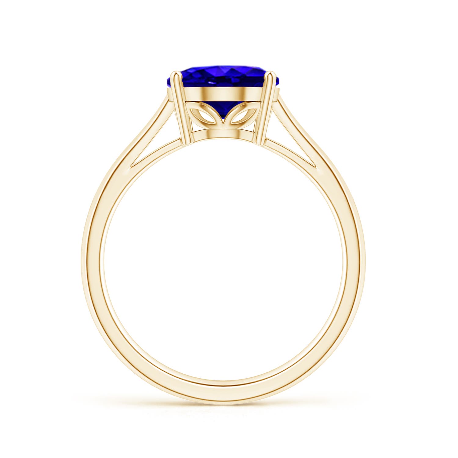 AAAA - Tanzanite / 2.9 CT / 14 KT Yellow Gold