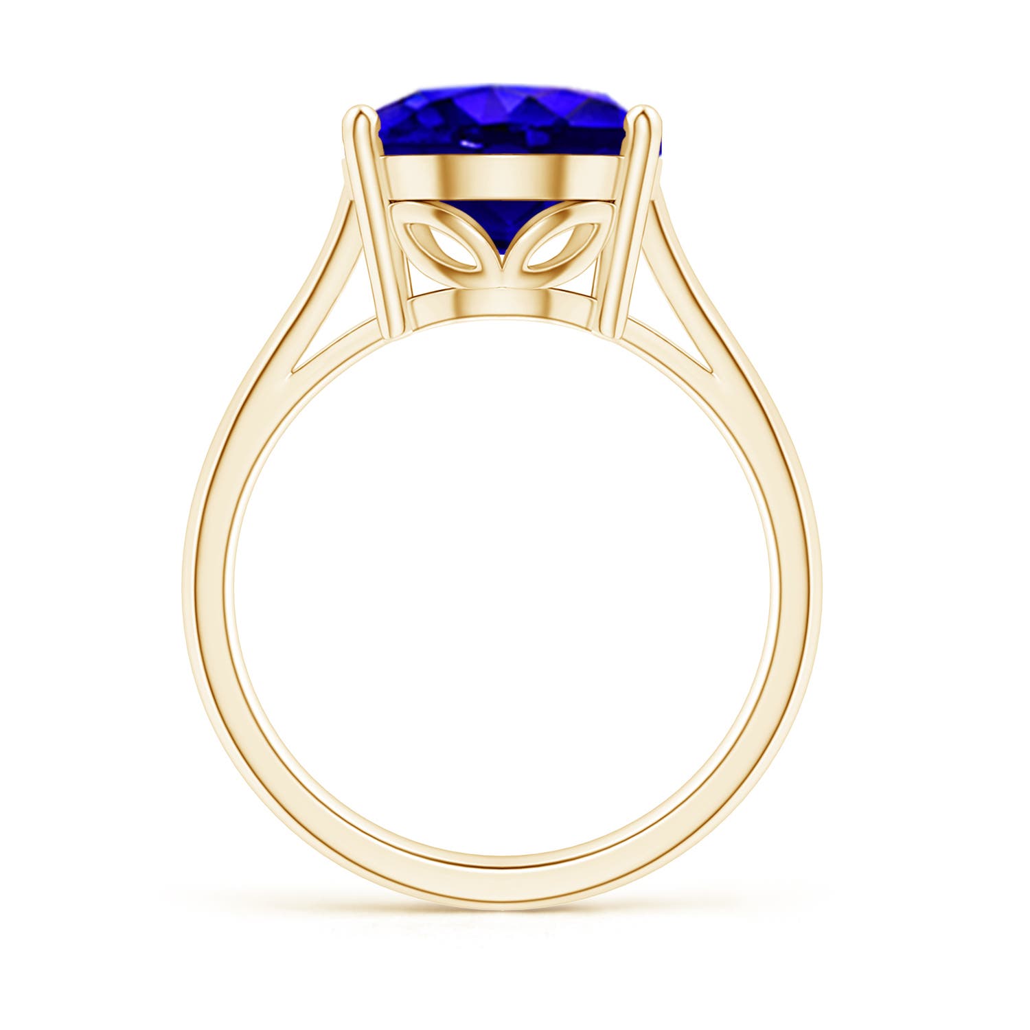 AAAA - Tanzanite / 6 CT / 14 KT Yellow Gold