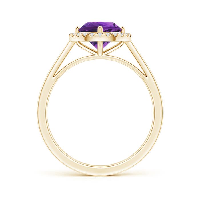 AAAA - Amethyst / 1.29 CT / 14 KT Yellow Gold