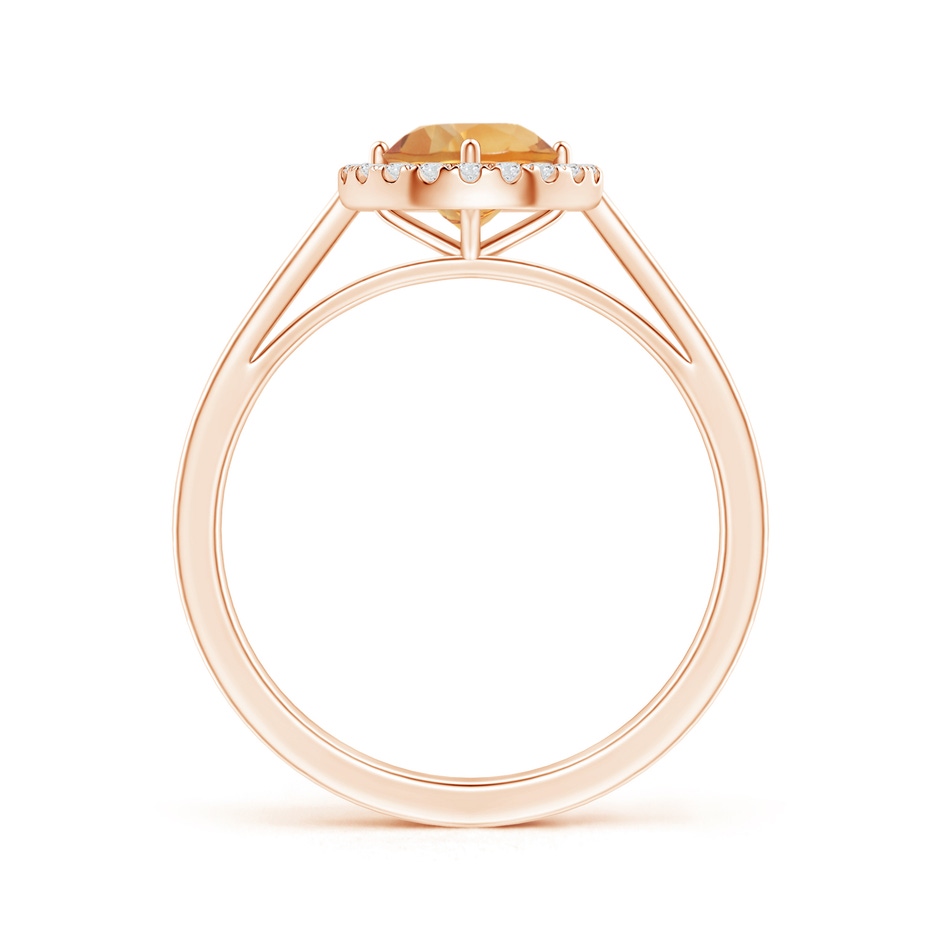 6mm A Floating Round Citrine Ring with Diamond Halo in Rose Gold side-1