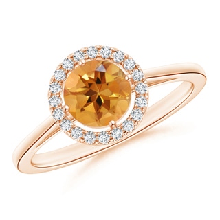 6mm AA Floating Round Citrine Ring with Diamond Halo in Rose Gold