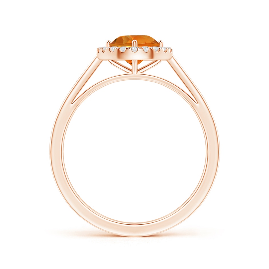 6mm AAAA Floating Round Citrine Ring with Diamond Halo in Rose Gold side-1