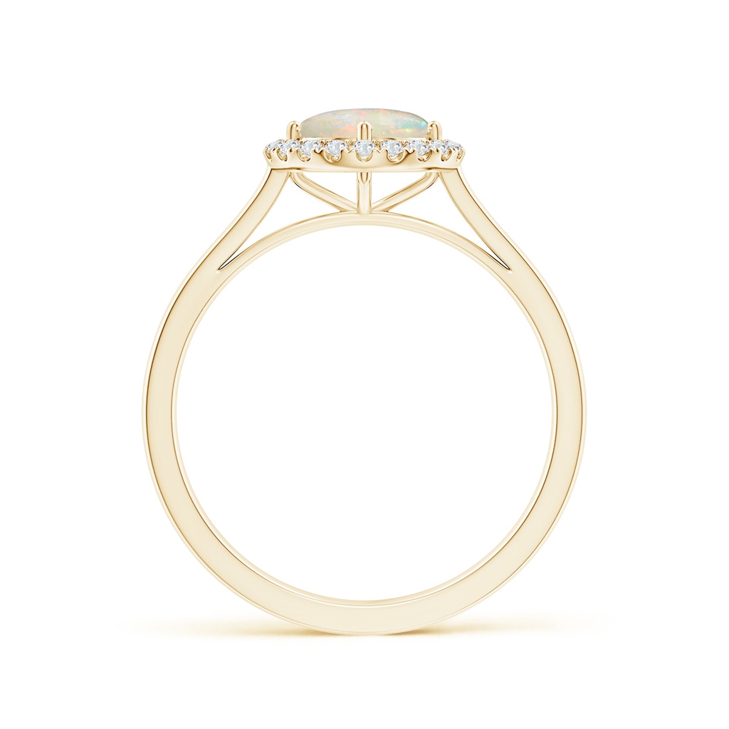 6mm AAAA Floating Round Opal Ring with Diamond Halo in 10K Yellow Gold - side 1