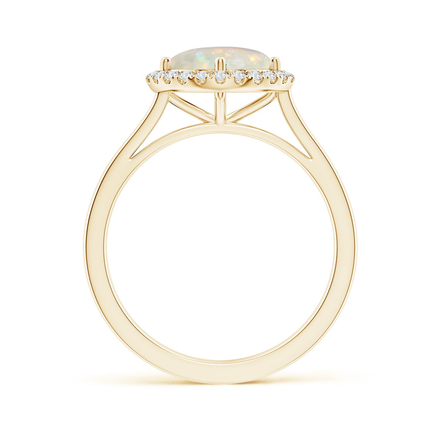 AAA - Opal / 1.29 CT / 14 KT Yellow Gold