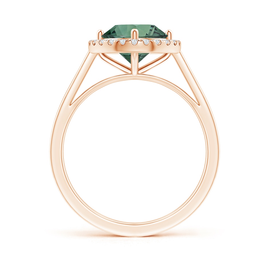 7.50-7.57x5.13mm AAA Floating GIA Certified Round Teal montana sapphire Ring with Diamond Halo in Rose Gold side 199