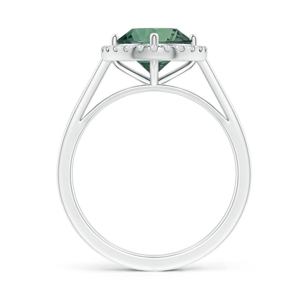7.50-7.57x5.13mm AAA Floating GIA Certified Round Teal montana sapphire Ring with Diamond Halo in White Gold - side 199