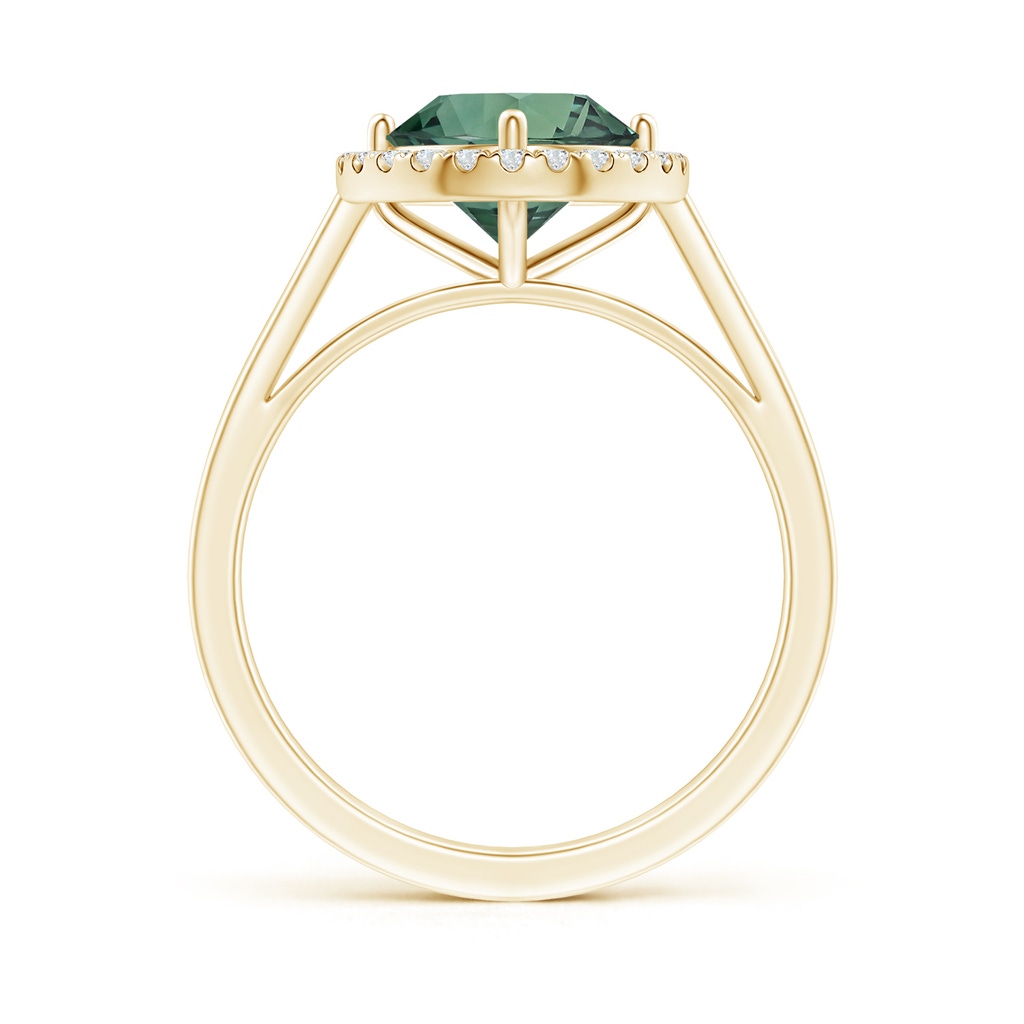 7.50-7.57x5.13mm AAA Floating GIA Certified Round Teal montana sapphire Ring with Diamond Halo in Yellow Gold - side 199