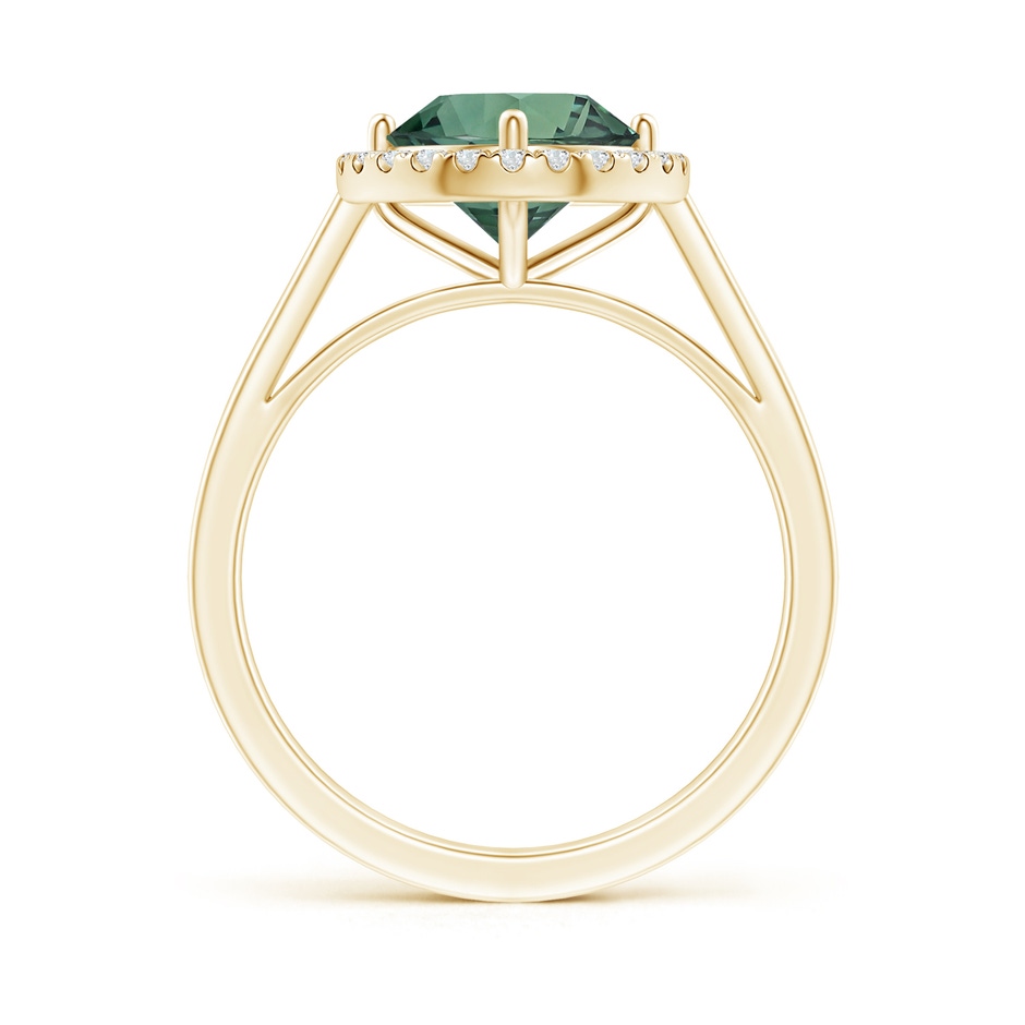 7.50-7.57x5.13mm AAA Floating GIA Certified Round Teal montana sapphire Ring with Diamond Halo in Yellow Gold side 199