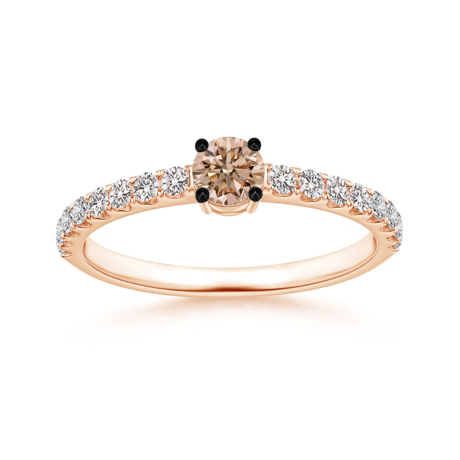3.5mm AA Classic Coffee Diamond Solitaire Ring in Rose Gold 