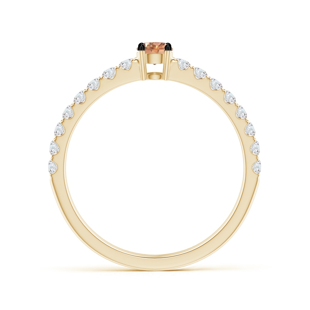 3.5mm AAAA Classic Coffee Diamond Solitaire Ring in Yellow Gold - side_1