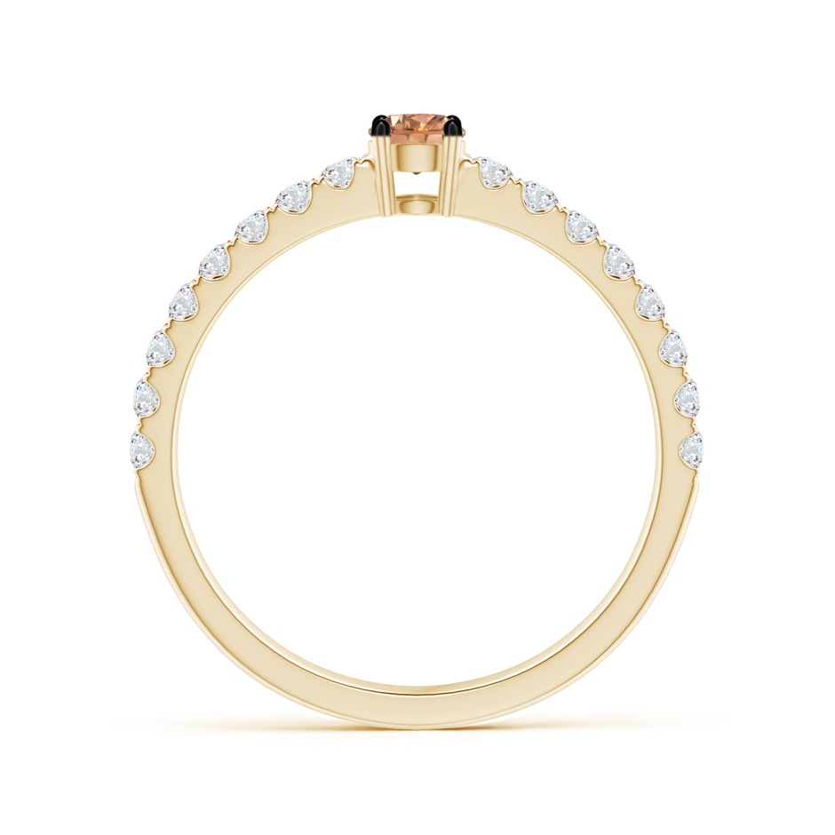 3.5mm AAAA Classic Coffee Diamond Solitaire Ring in Yellow Gold side-1