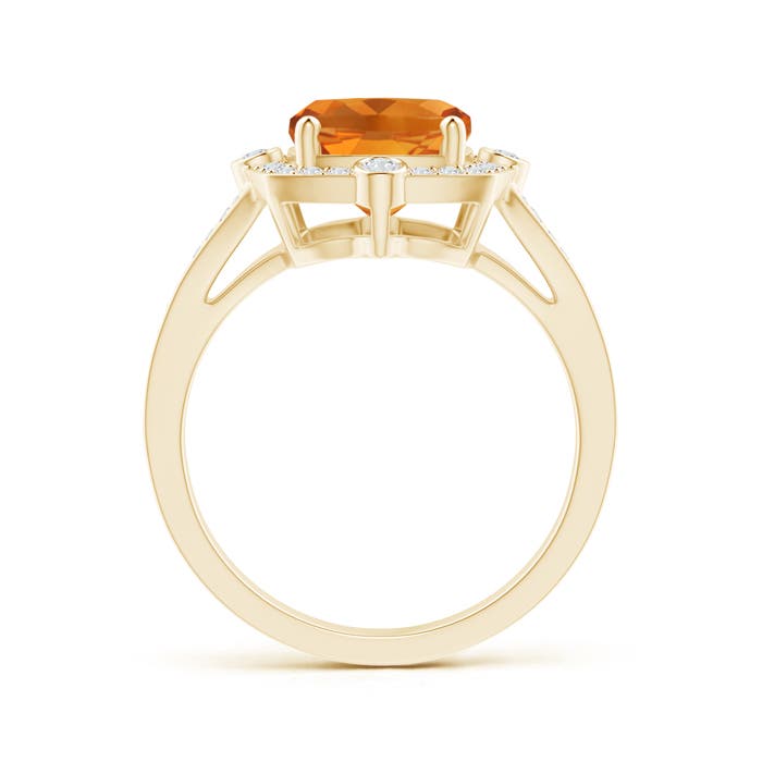 AAA - Citrine / 2.95 CT / 14 KT Yellow Gold