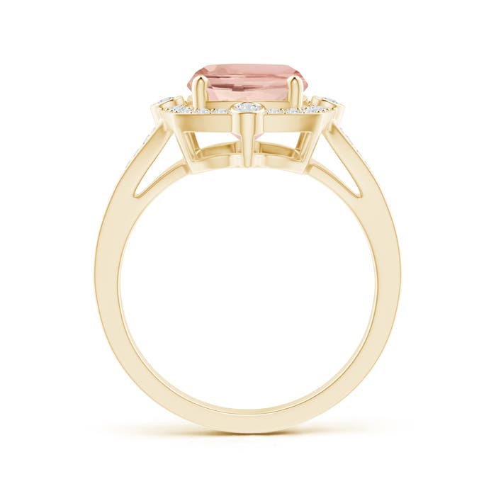 AAA - Morganite / 3 CT / 14 KT Yellow Gold