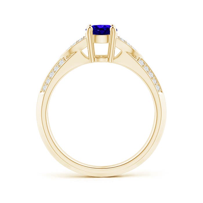 AAAA - Tanzanite / 0.98 CT / 14 KT Yellow Gold