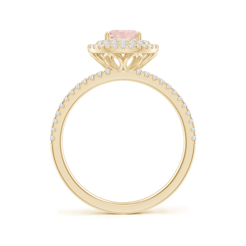 7x5mm AA Split Shank Pear Morganite and Diamond Double Halo Ring in Yellow Gold side-1