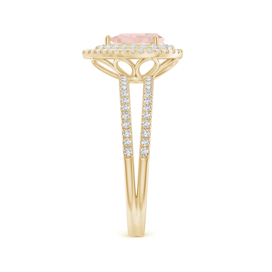7x5mm AA Split Shank Pear Morganite and Diamond Double Halo Ring in Yellow Gold side-2