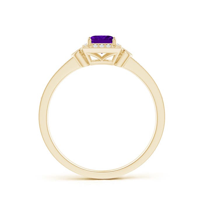 AAAA - Amethyst / 0.49 CT / 14 KT Yellow Gold