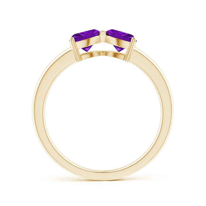 AAA - Amethyst / 0.8 CT / 14 KT Yellow Gold