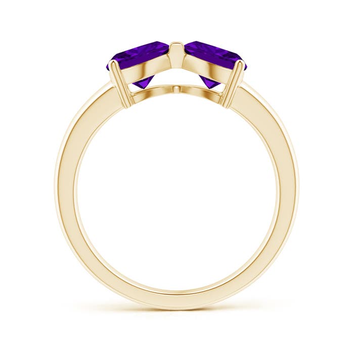 AAAA - Amethyst / 1.4 CT / 14 KT Yellow Gold