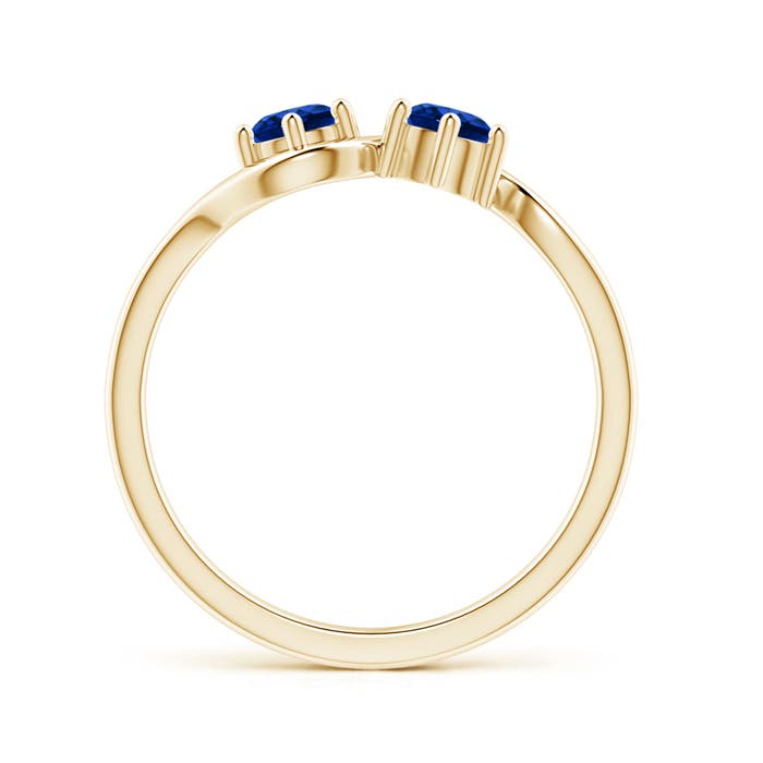 AAAA - Blue Sapphire / 0.68 CT / 14 KT Yellow Gold