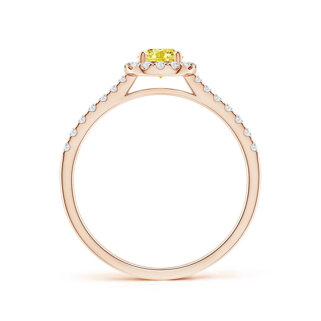 4.5mm AAAA Round Fancy Intense Yellow Diamond Halo Ring with Accents in Rose Gold - side 199
